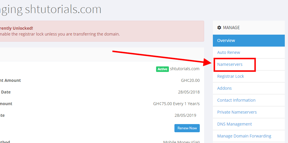 connect domain to blogger-5-manage-nameservers