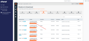 JetBackup - Database Restore