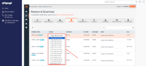 JetBackup - Database Restore